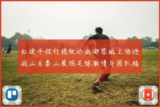 红途半程行稳致远成都蓉城主场迎战山东泰山展现足球激情与团队精神